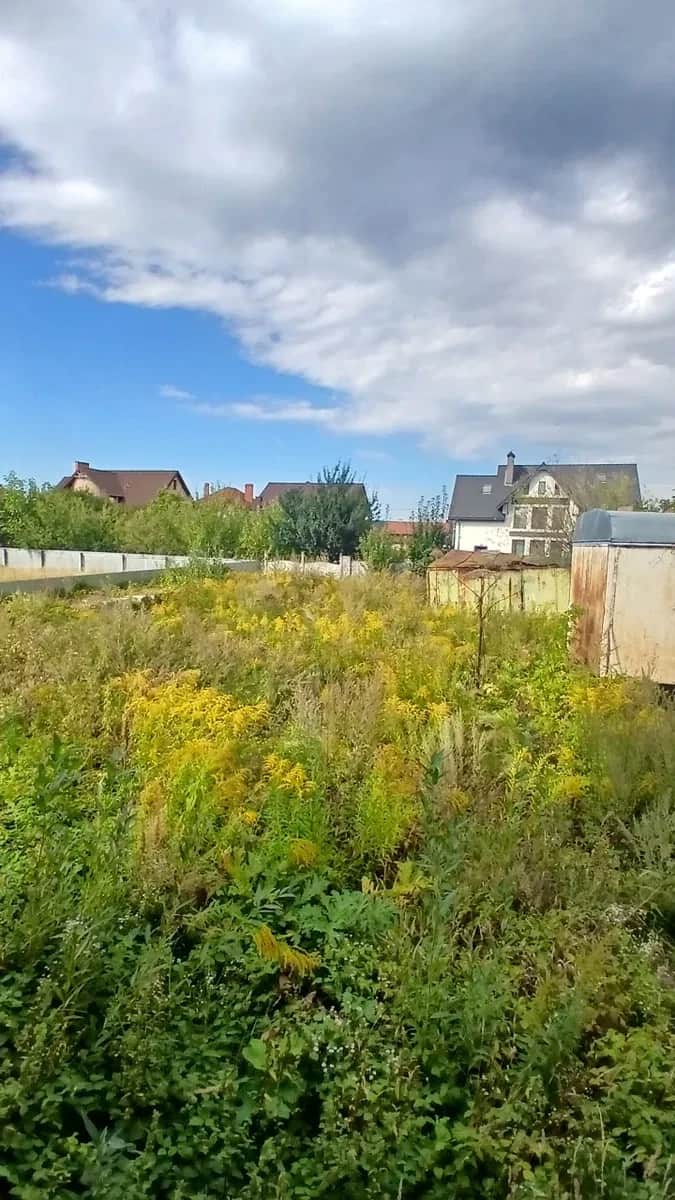 Ділянка 12 соток, Старий Лисець: газ і світло поруч, криниця - фото 2