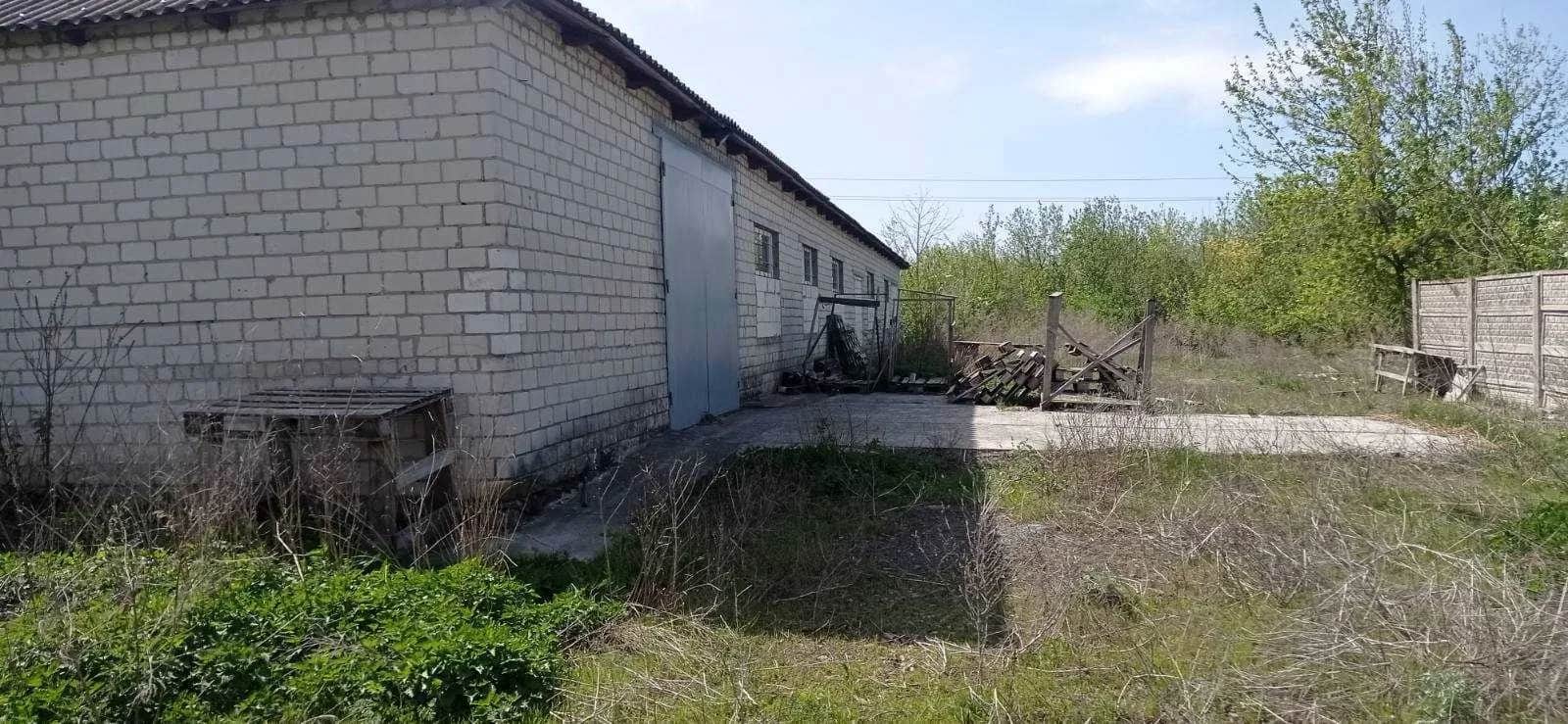 Завод, Сунки: лінія дерев’яних шпателів, власна котельня - фото 2