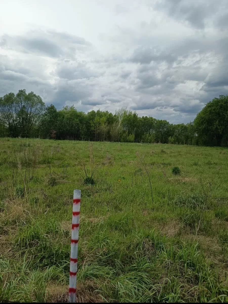 Ділянка 25 соток, Бірки: під житлову забудову, електрика - фото 2
