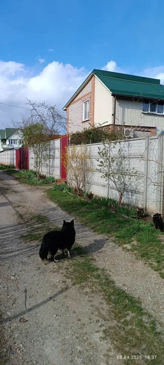 Дача, Новолозоватка: власний пірс, 200 м до водойми, євроремонт - фото 2