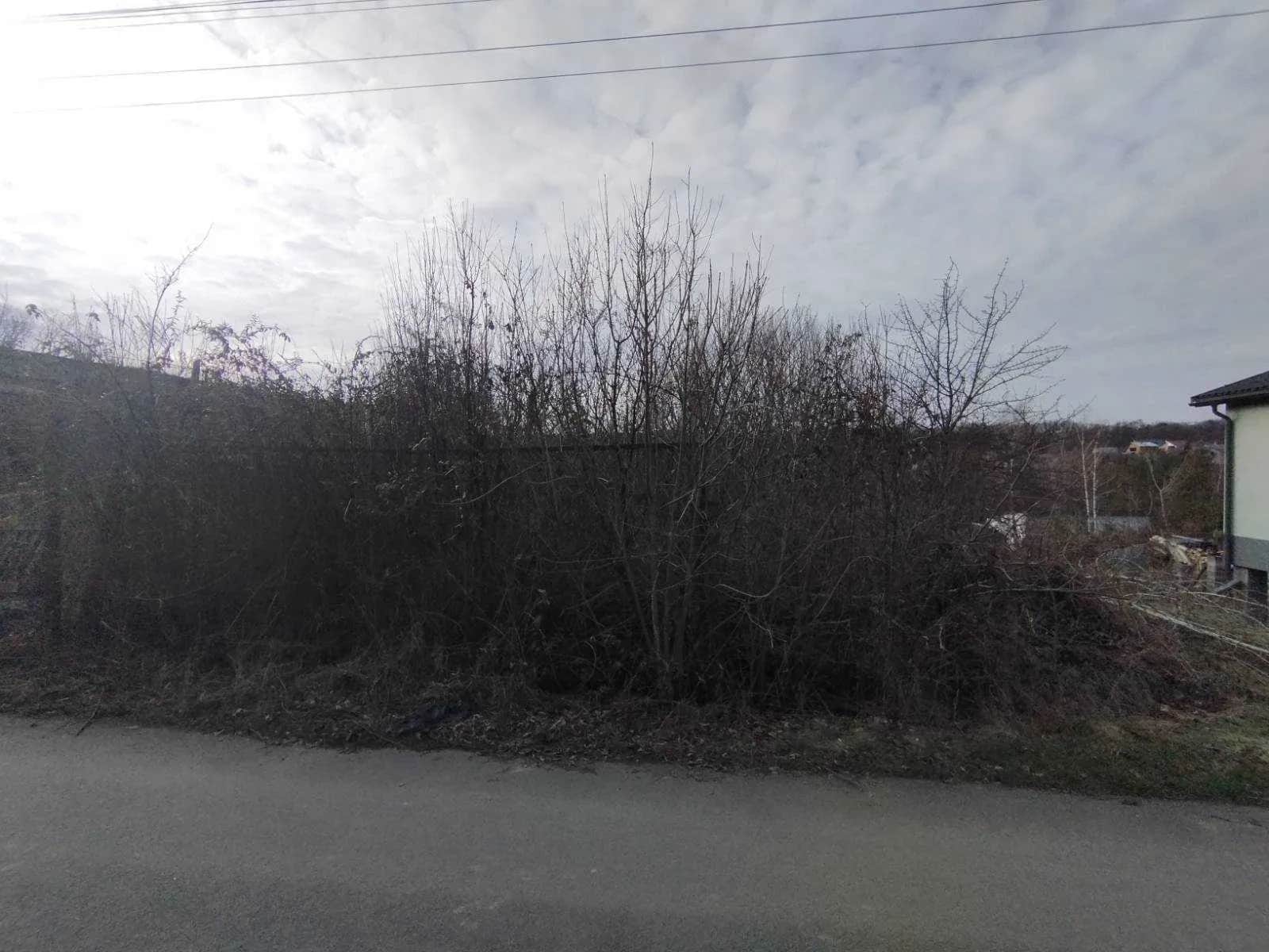 Ділянка 0.05 соток, Оноківці: ліс за 100 м, шлагбаум, торг - фото 2