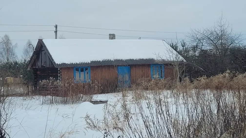Будинок, Нова Кам'янка: світло підведене, газ за 100 м, 22 сотки - фото 1