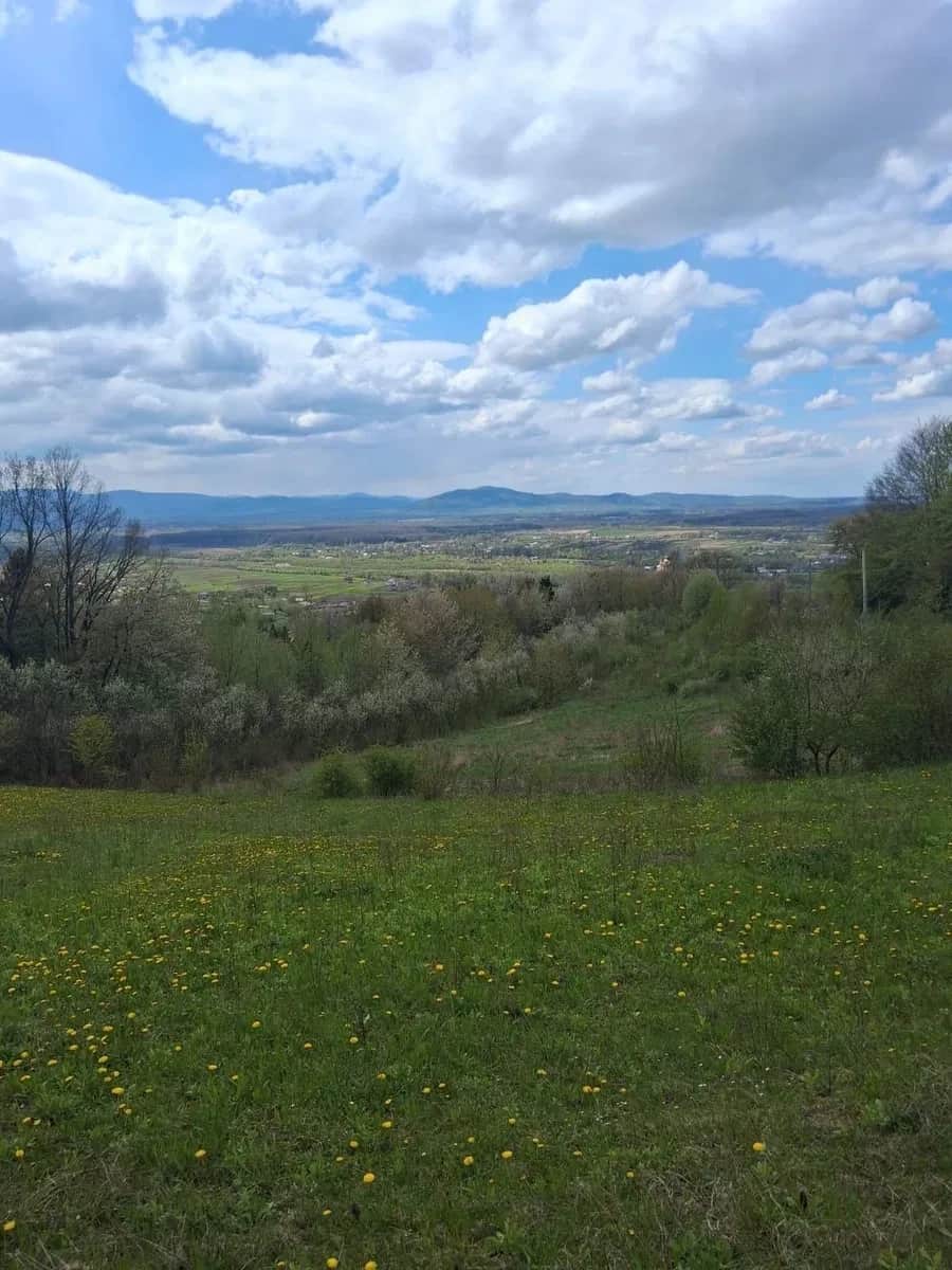 Ділянка 85 соток, Жураки: хата, город - фото 1