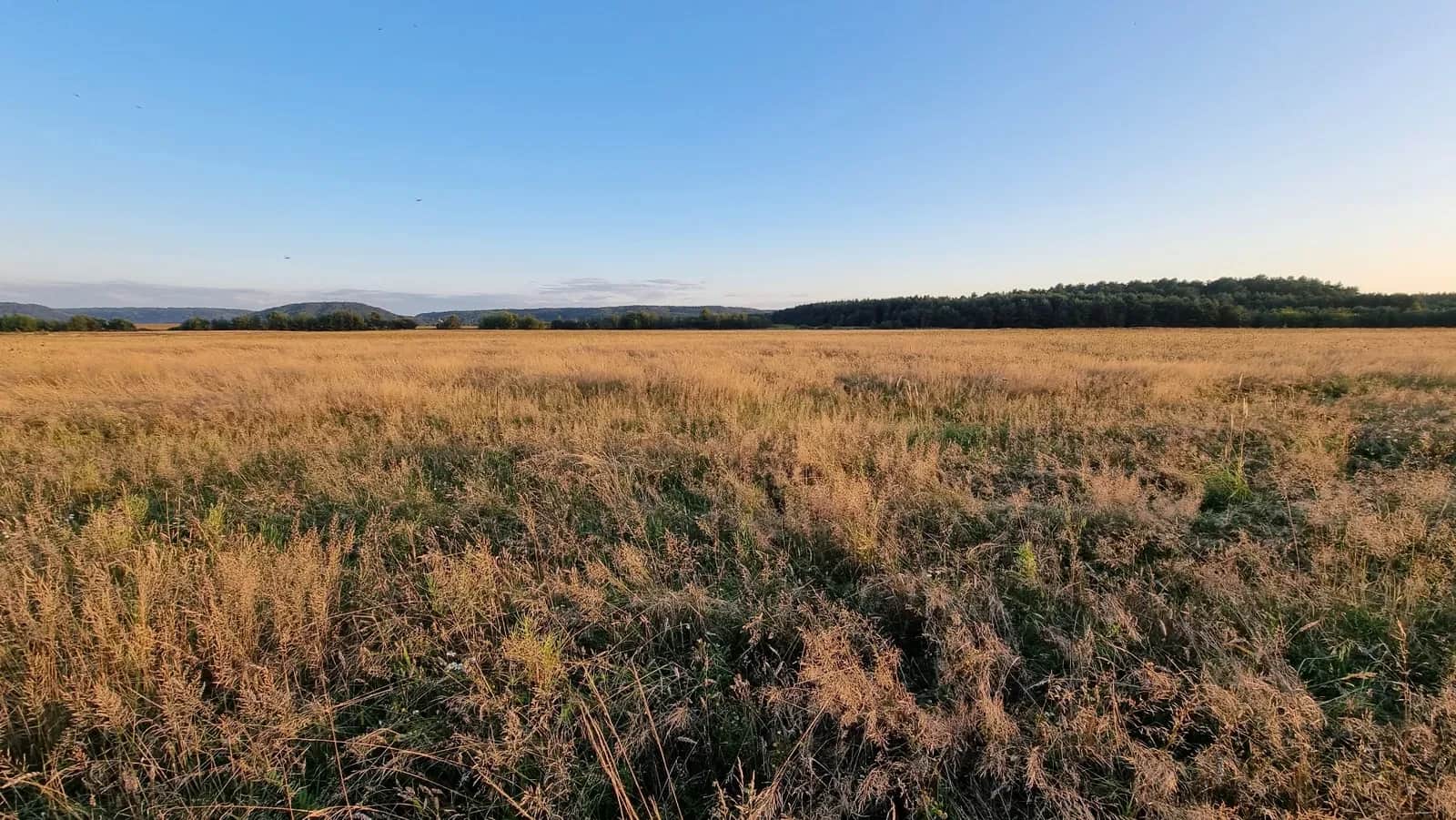 Ділянка 28 соток, Крехів: ОСГ, для поля або пасіки - фото 1