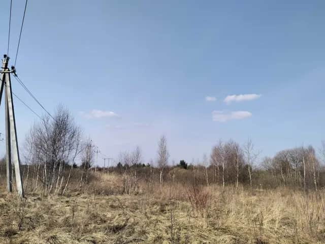 Ділянка 10 соток, Білогорща: перша лінія, заїзд, ЛЕП - фото 2