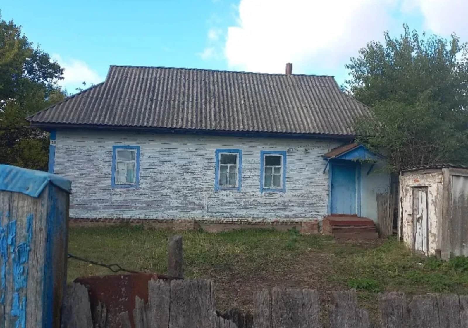 Будинок, Стольне: криниця, господарські будівлі, туалет на території - фото 1