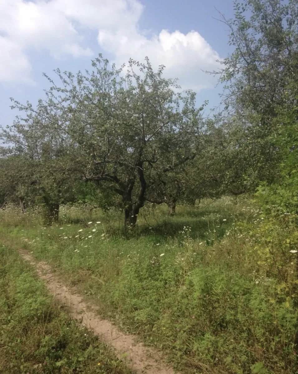 Ділянка 8400 соток, Покотилівка: житлова й суспільна забудова, торг - фото 2