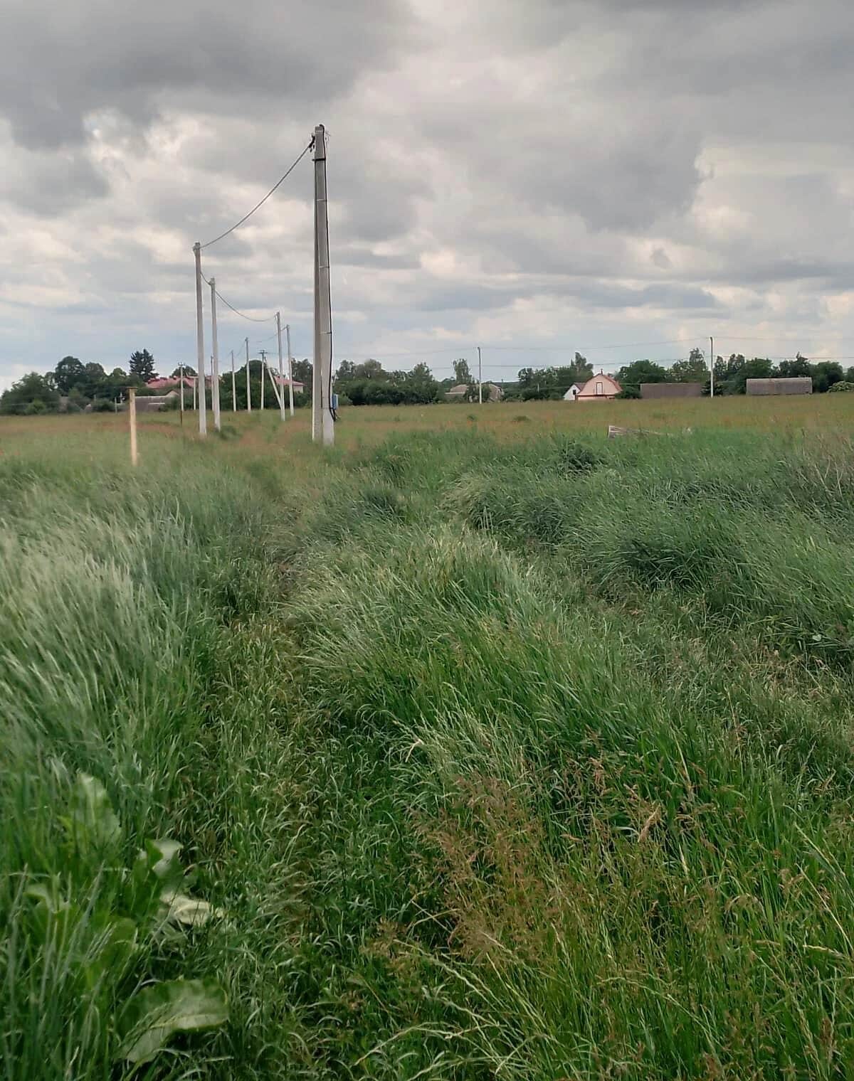 Ділянка 5.87 сотки, Луб'янка (Бородянка): під житлову забудову, електрика - фото 1