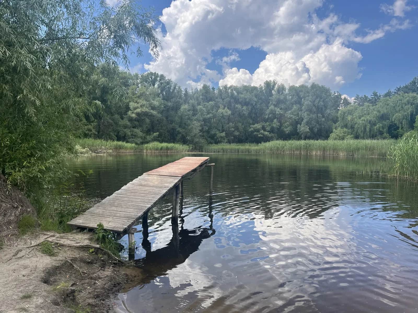 Дача, Куліші: біля соснового лісу та озера, 5 соток - фото 2