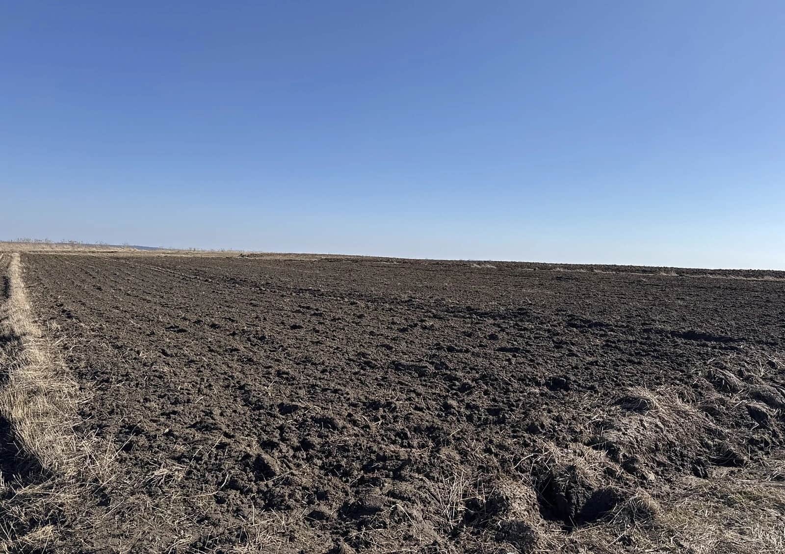 Ділянка 26.06 сотки, Бронники: сільськогосподарська, змішаний ґрунт - фото 2