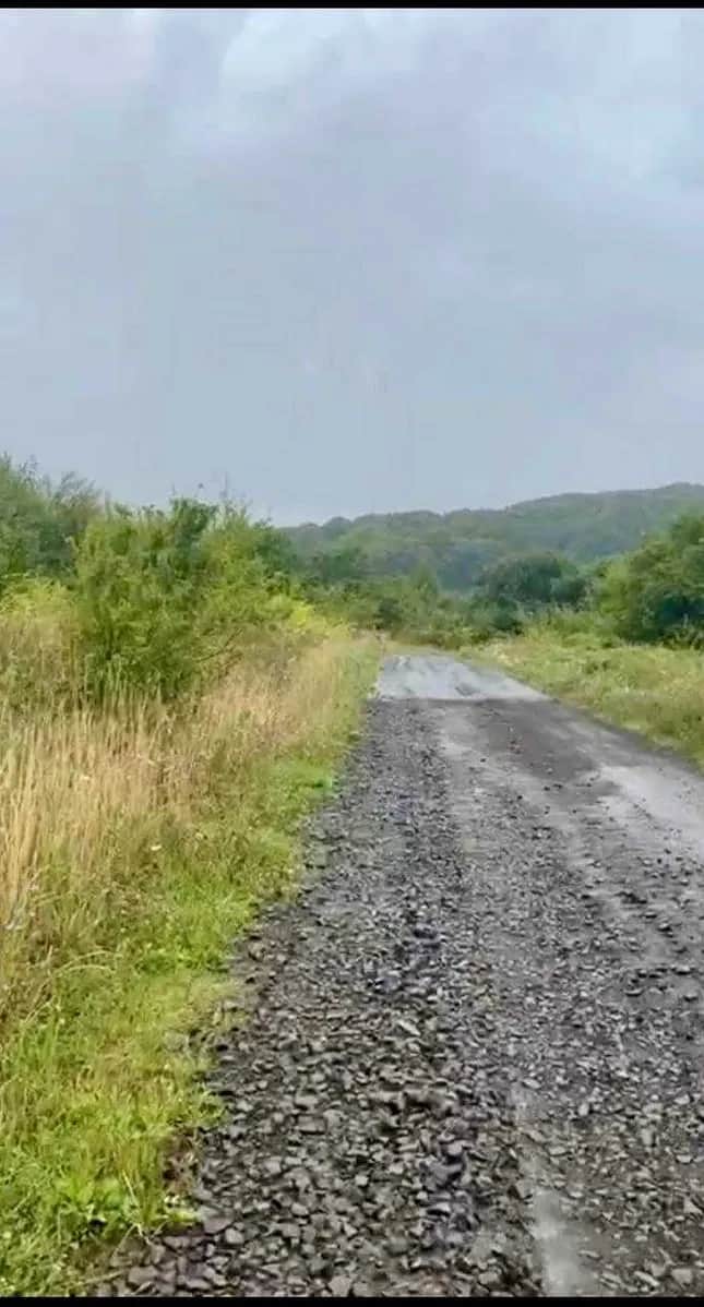 Ділянка 20 соток, Гута: до 15 км до центру, ліс і річка - фото 2