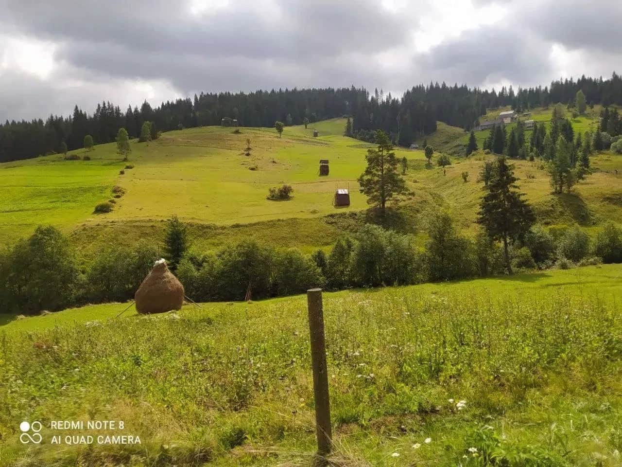 Ділянка 105 соток, Сенечів: річка Обнога, хвойний ліс - фото 1