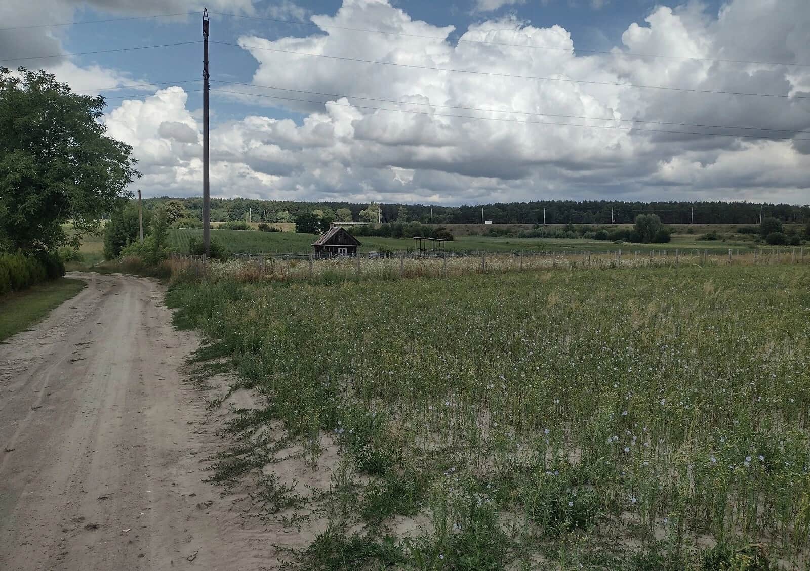 Ділянка 42.98 сотки, Хрипаличі: під житлову забудову, торг - фото 1