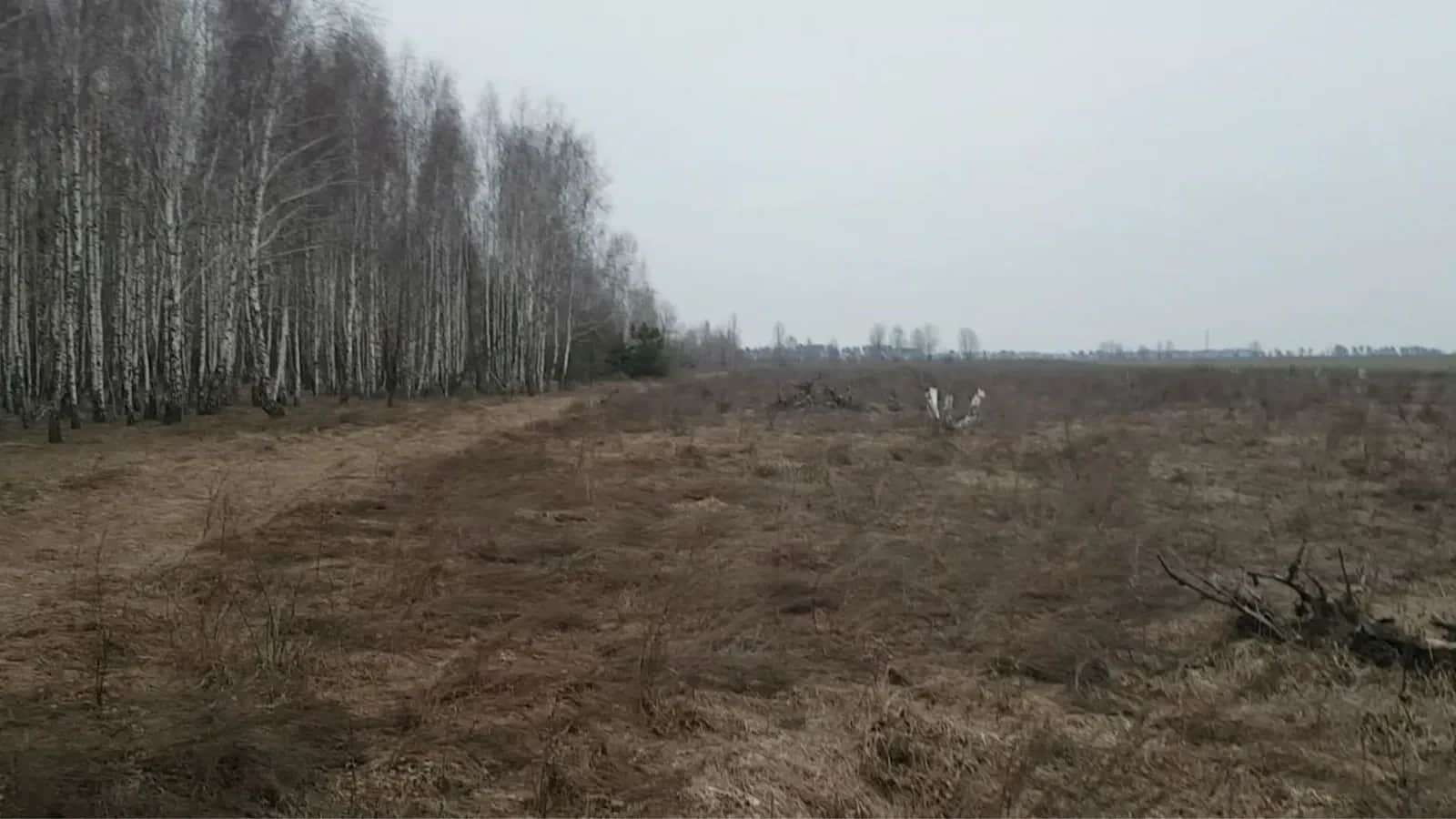 Ділянка 600 соток, Лісовичі: під бізнес, озеро та ліс - фото 1