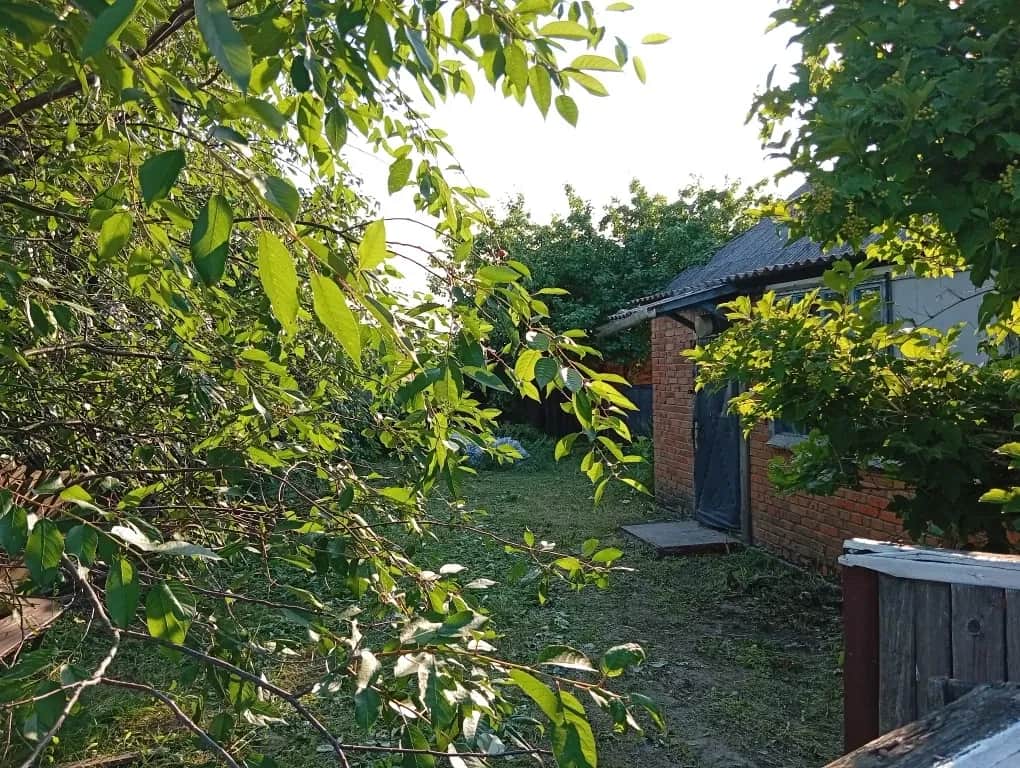 Будинок, Ніжиловичі: 6 соток, електрика - фото 1