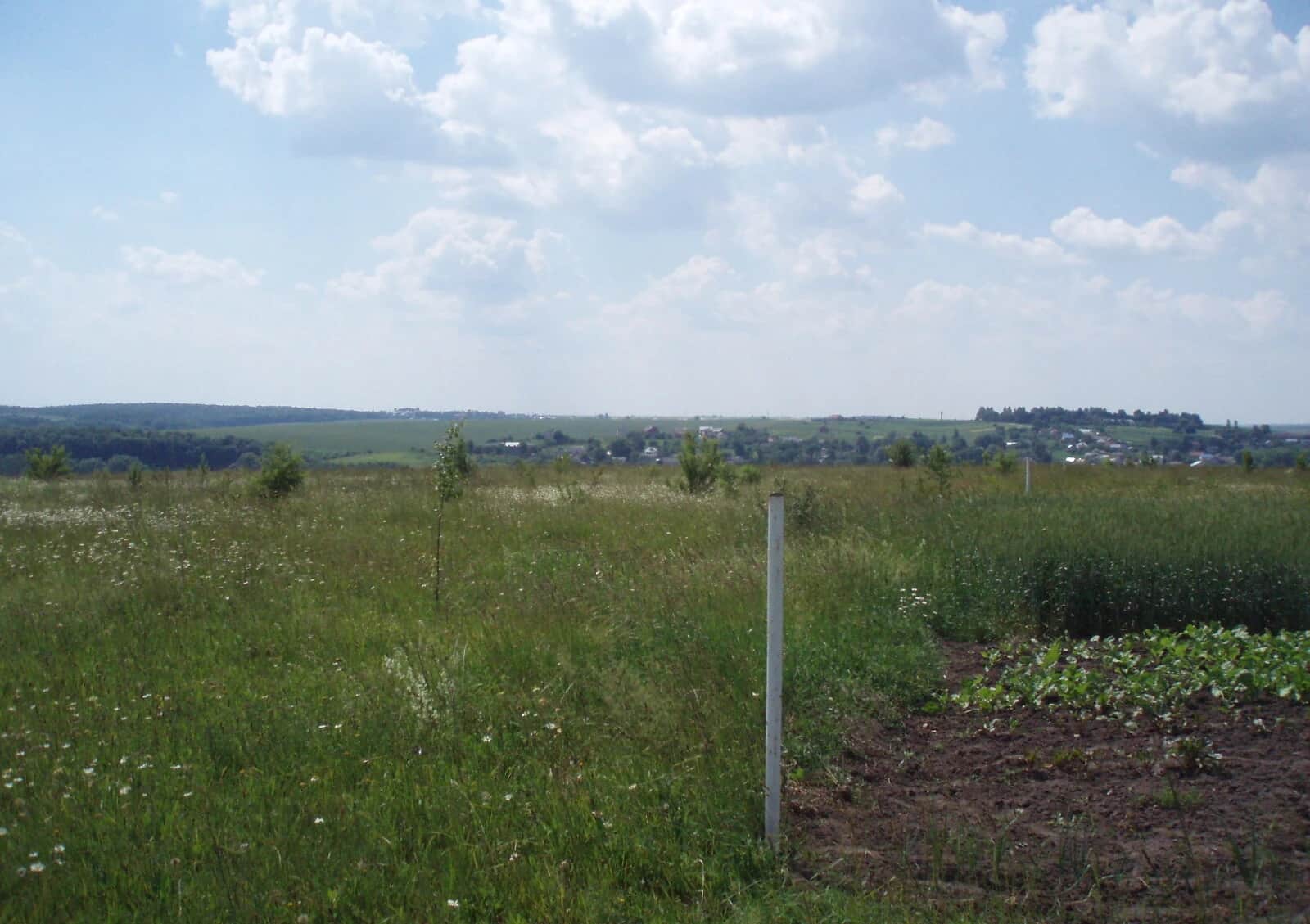 Ділянка 12 соток, Лозова: чорнозем, під гараж, 50 × 24 м - фото 2