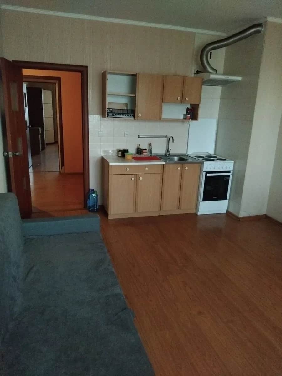 1-кімнатна квартира, Дарницький: два балкони, котик і песик - фото 1