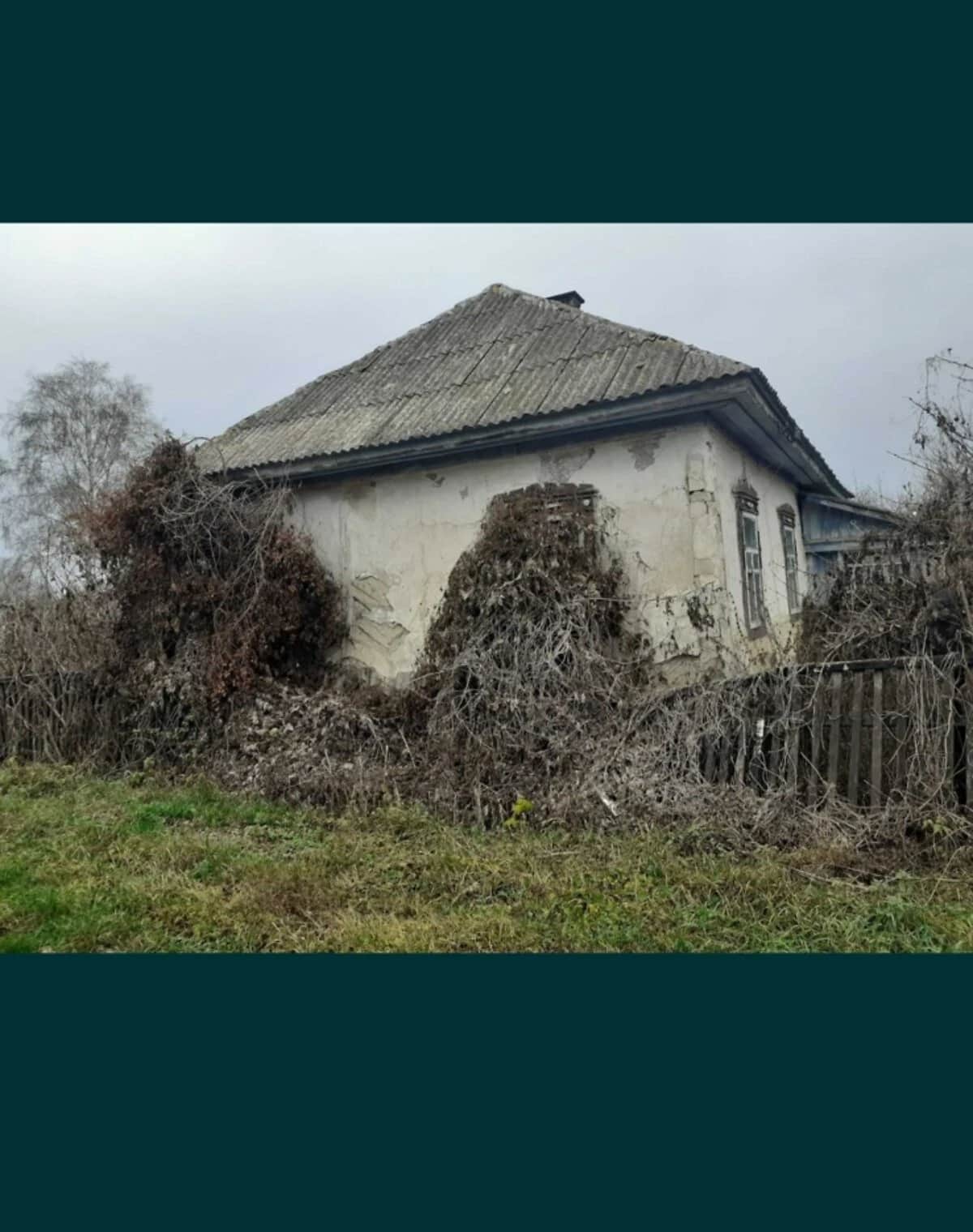 Будинок, Кладьківка: 20 соток, пічне опалення, сад - фото 2