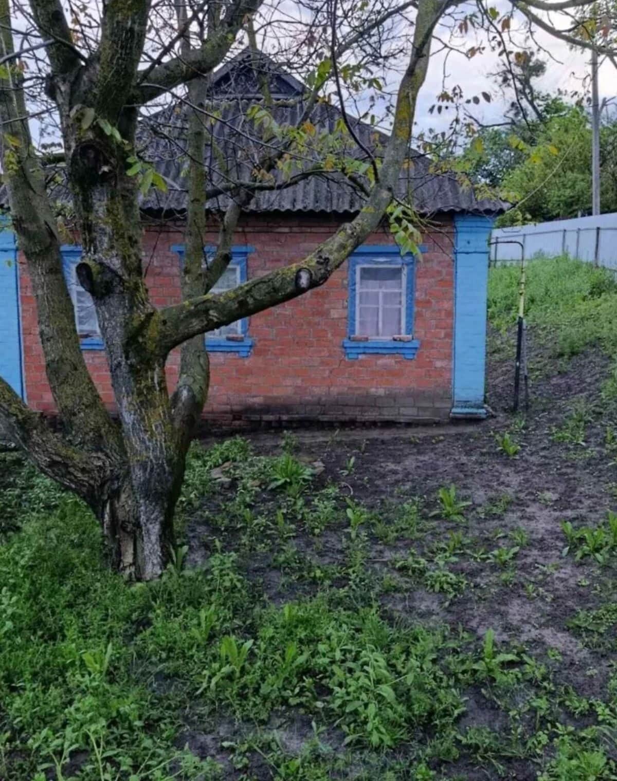 Будинок, Броварки (Гадяч): 50 соток, пічне опалення - фото 2