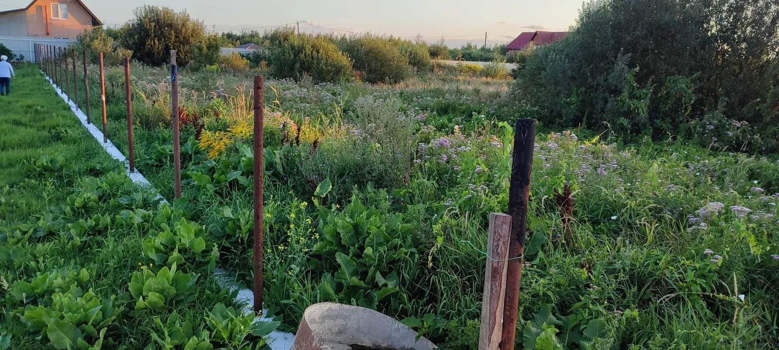 Ділянка 12 соток, Сарни: ліс та озеро, до міста 5 км - фото 2