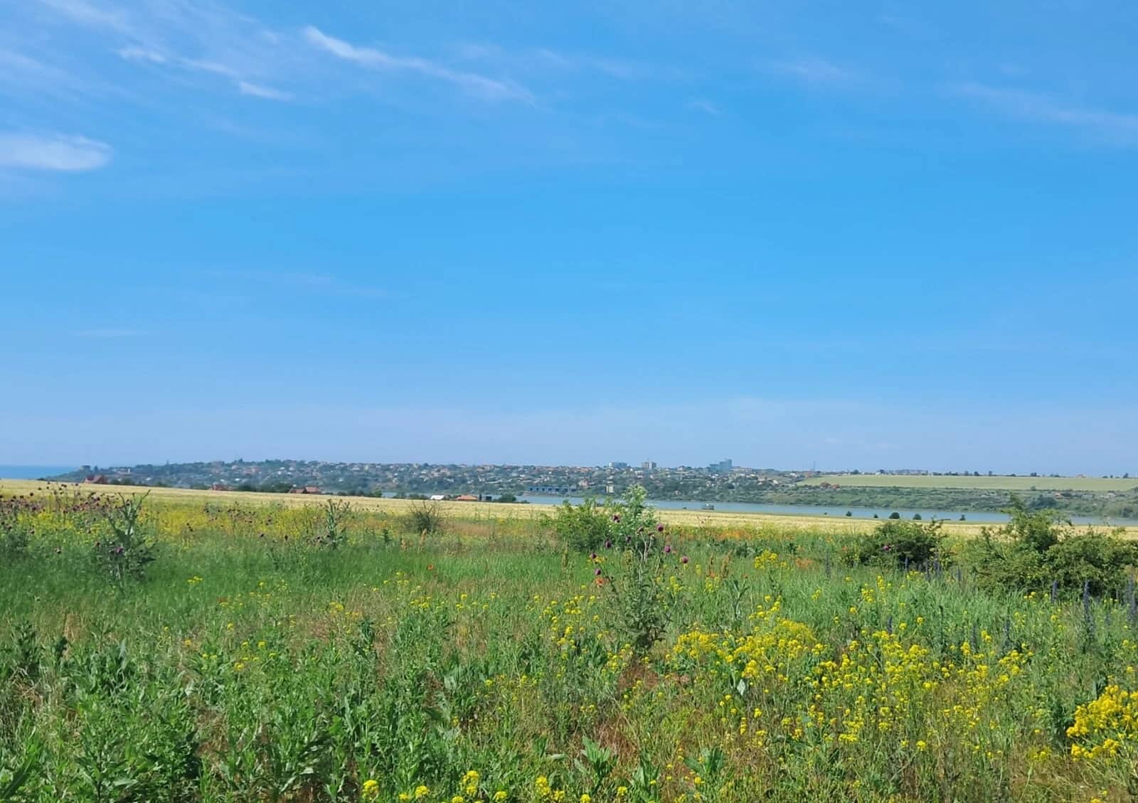 Ділянка 6.8 сотки, Нова Дофінівка: чорнозем, вода - фото 2