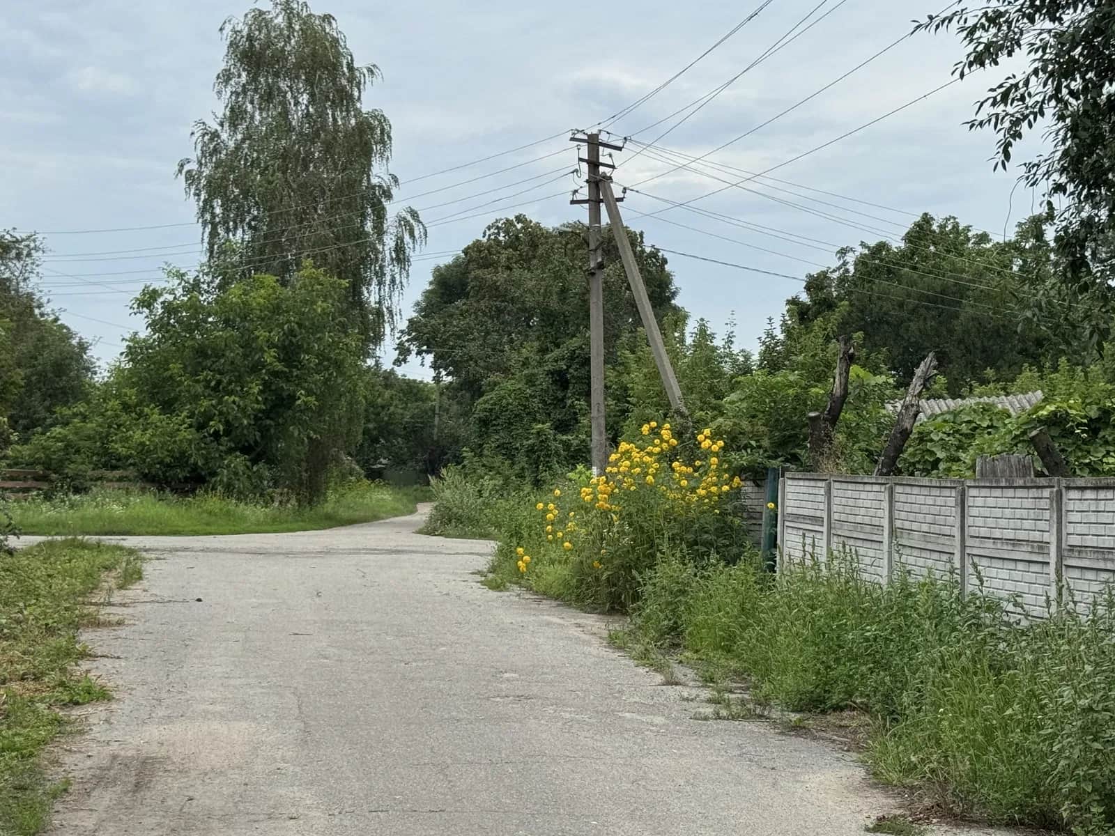 Дача, Омелянів: 24 сотки, пічне опалення, цегляний гараж - фото 2