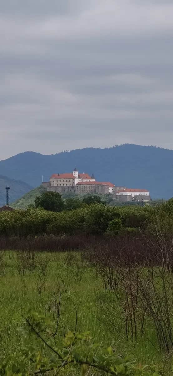 Ділянка 10 соток, Павшино: під забудову, поруч ліс, до 5 км від міста - фото 1