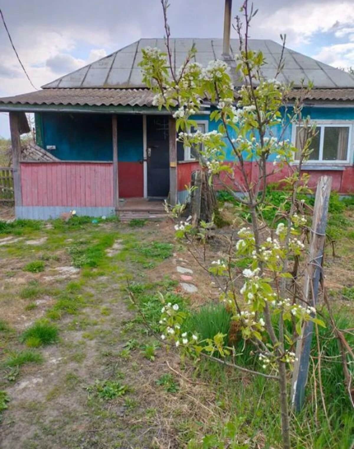 Будинок, Авдіївка (Куликівка): 35 соток, свердловина, газове й пічне опалення - фото 2