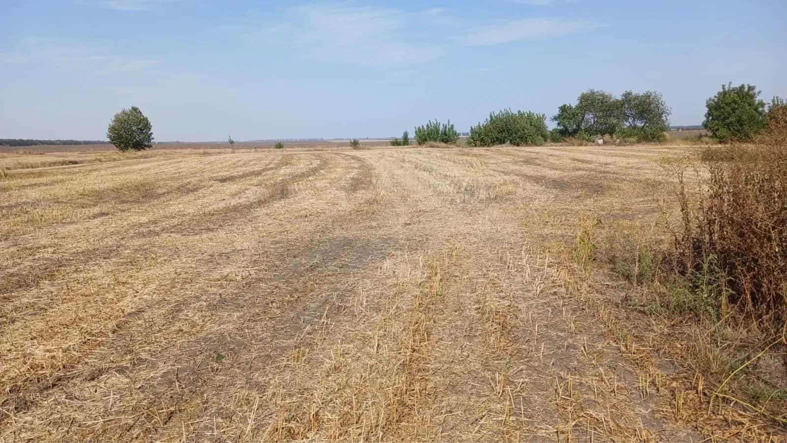 Ділянка 41 соток, Мирівка: житлова забудова, озеро 200 м - фото 2
