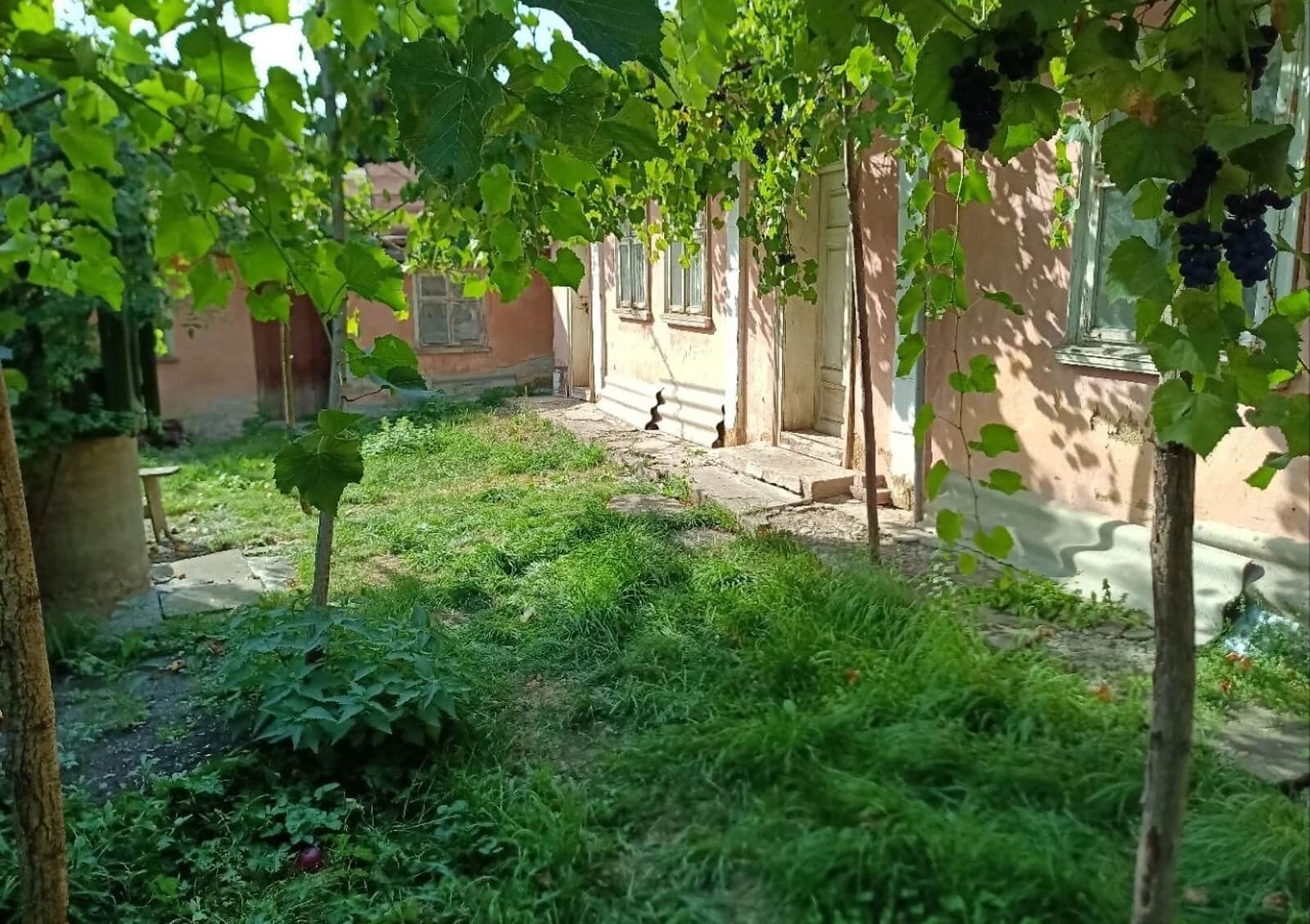 Будинок, Снятин: літня кухня, єВідновлення, житловий ваучер - фото 1