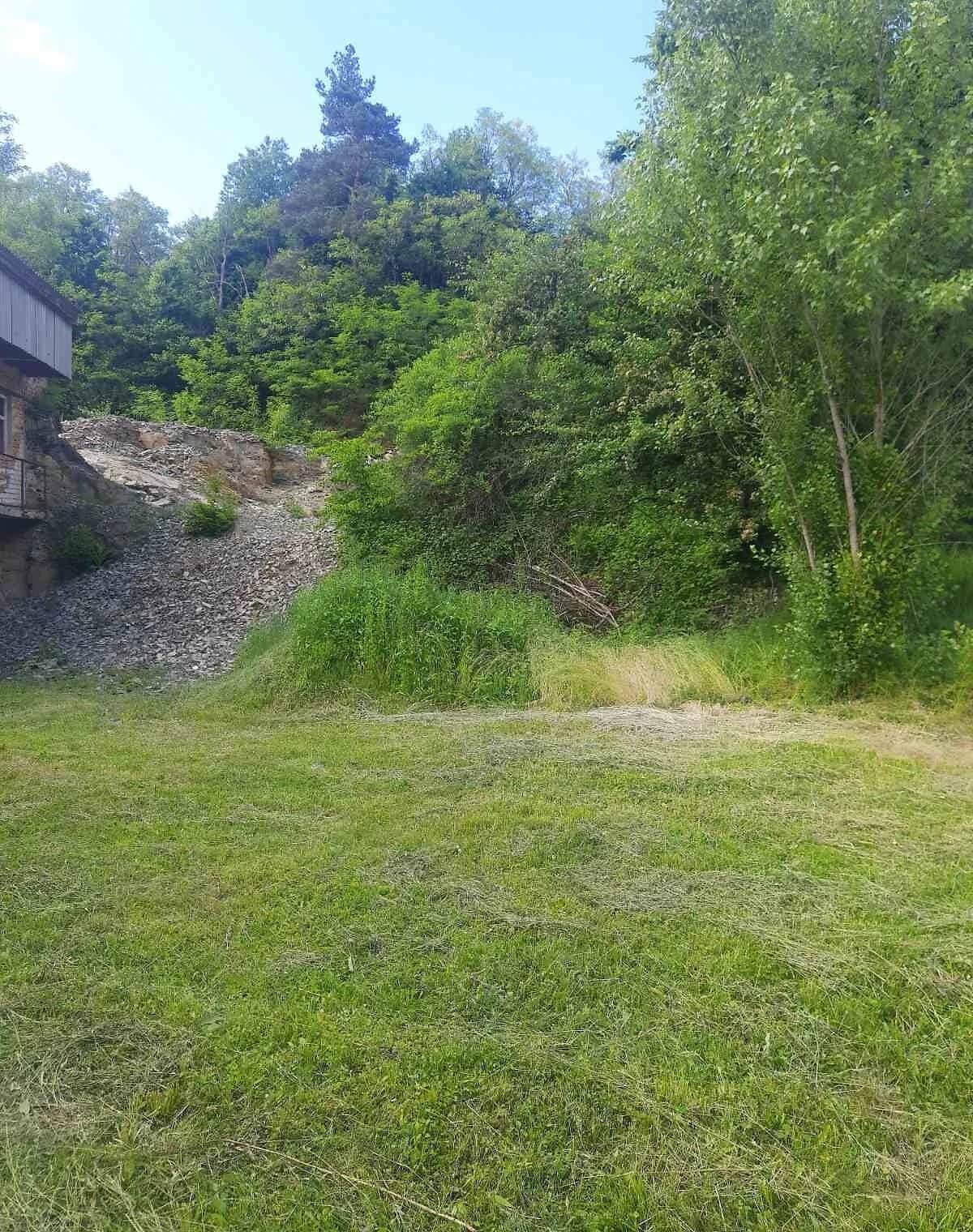 Ділянка 50 соток, Стрипа: сільськогосподарське призначення, план меж - фото 2