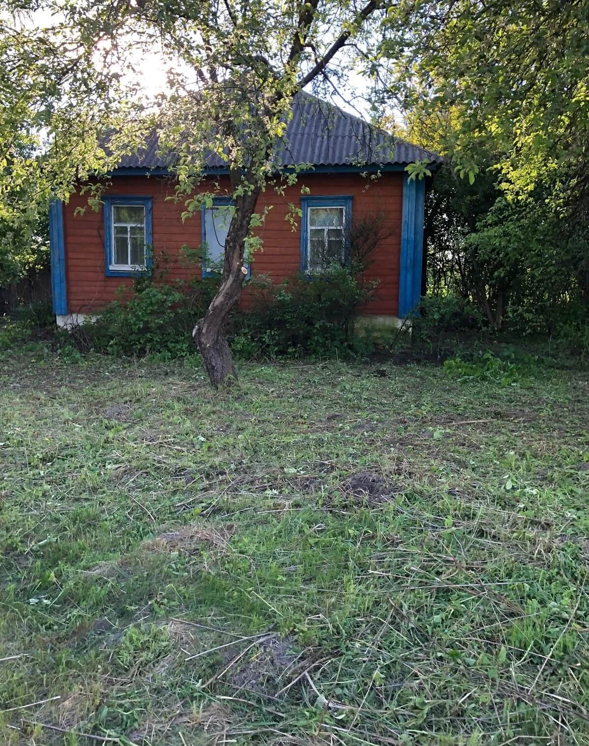 Будинок, Веселівка: ділянка 25 соток, потребує ремонту - фото 2