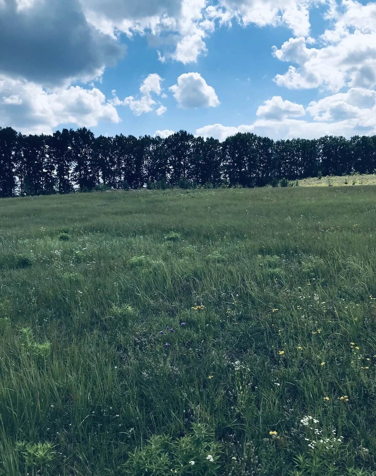 Ділянка 7 соток, Лаврівка: під житлову забудову - фото 1
