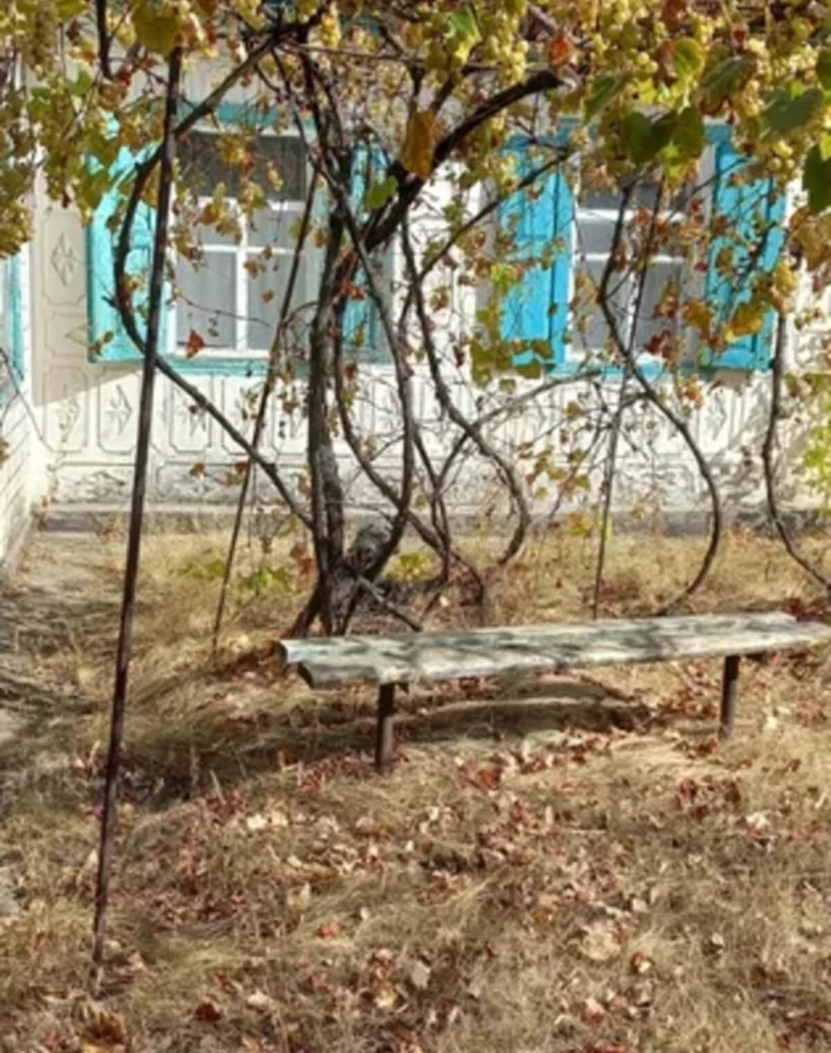 Будинок, Чорнявка: веранда, ділянка 23 сотки - фото 2