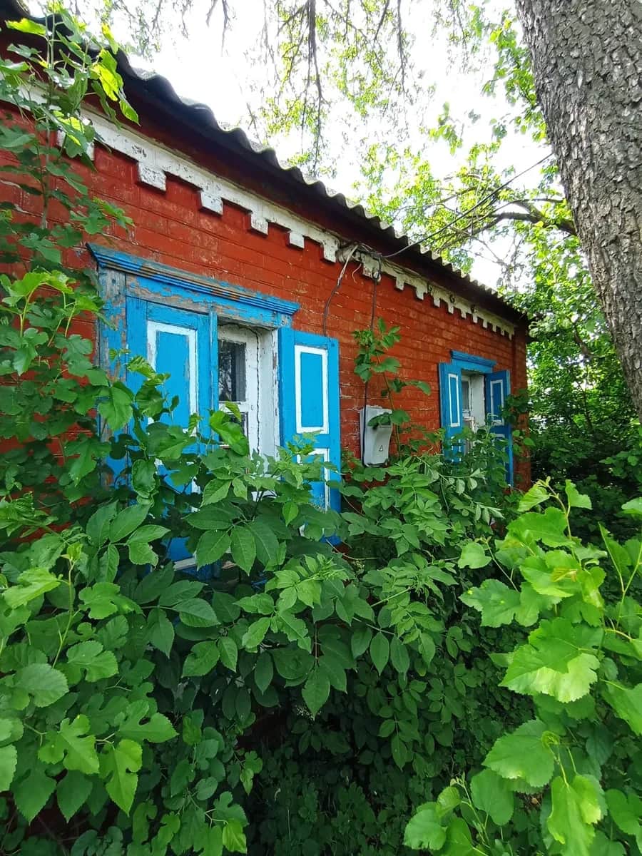 Будинок, Стара Гнилиця: 25 соток, гараж, газ по вулиці - фото 2