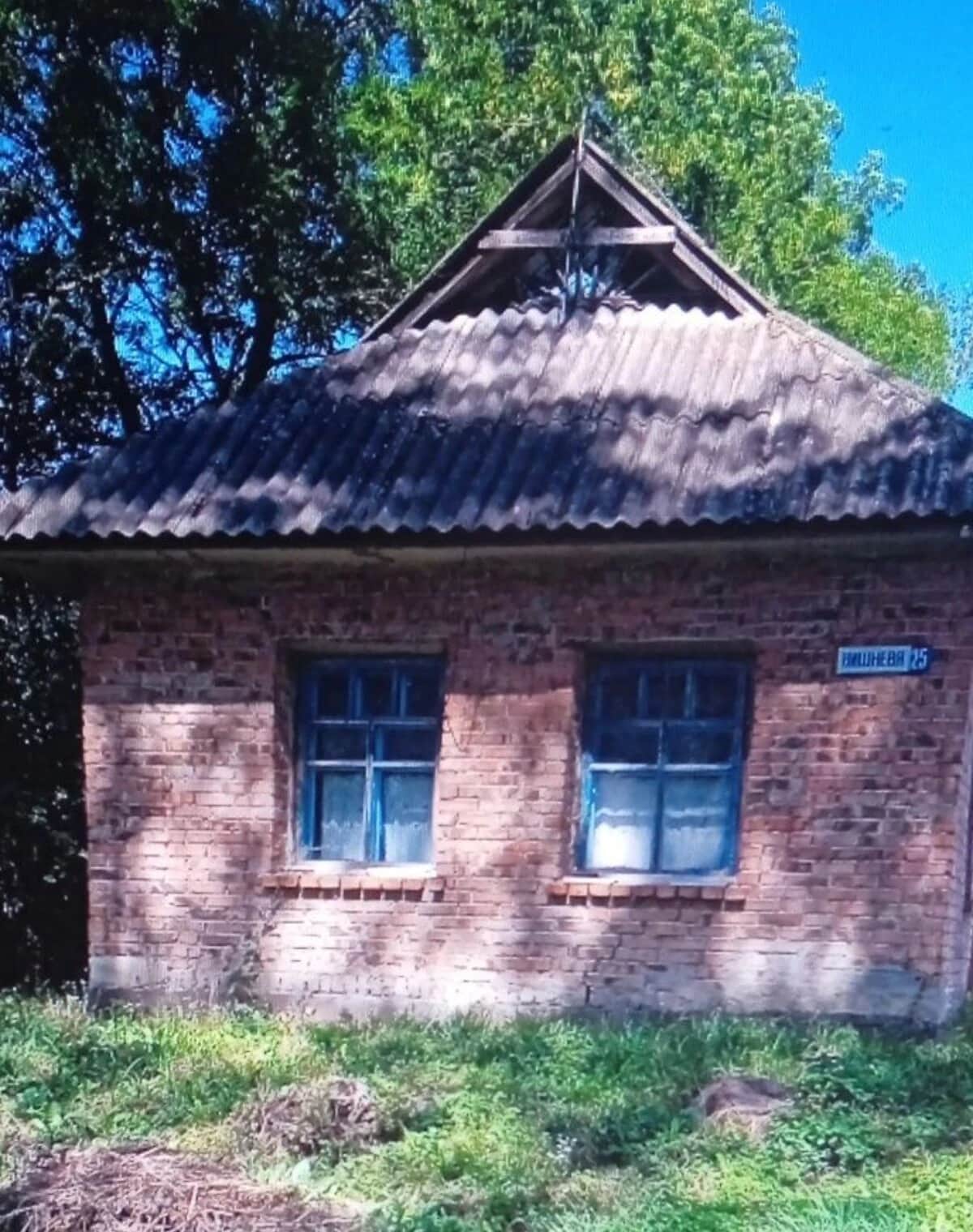 Будинок, Хоминці: літня кухня, криниця - фото 2