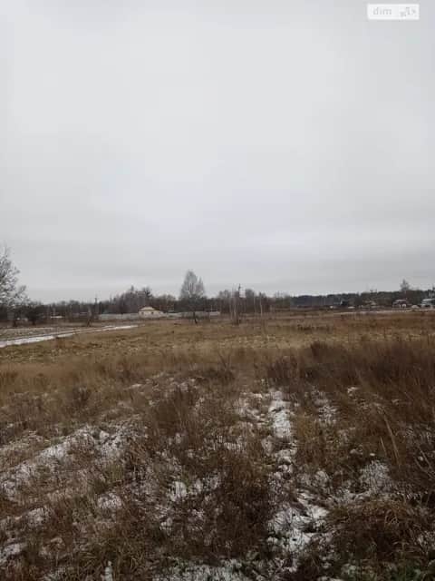Ділянка 0.5582 га, Сингаї: торг можливий - фото 2