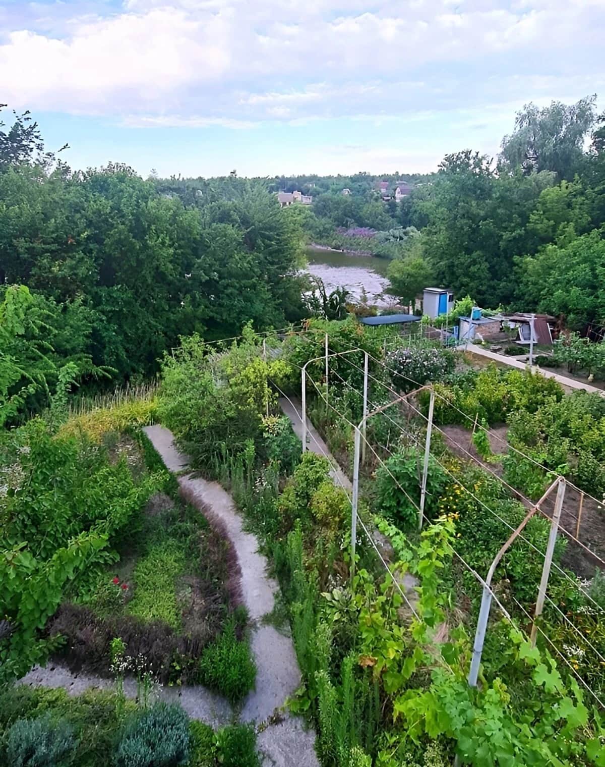 Ділянка 8 соток, Володимирівське: сільськогосподарська, водопровід - фото 1