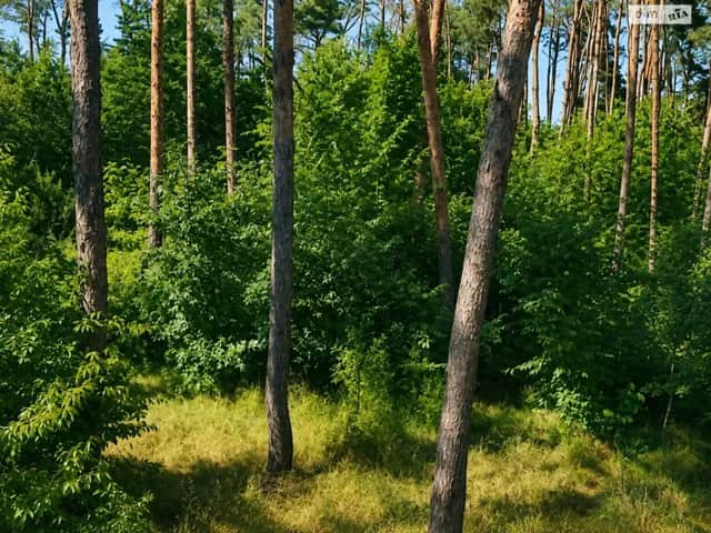 Ділянка 47.93 соток, Ладижин: під житлову забудову, центральний водопровід - фото 2