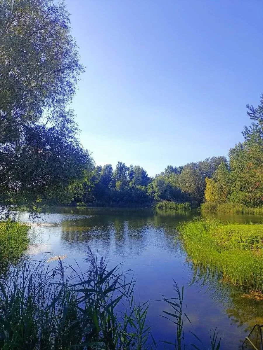 Дача, Коробівка: СТ Славутич, заповідна зона, власне озеро - фото 2