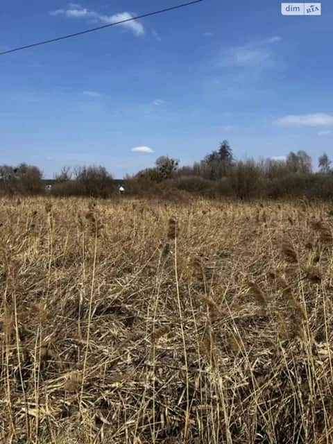 Ділянка 12 соток, Віта-Поштова: під житлову забудову, електрика - фото 2
