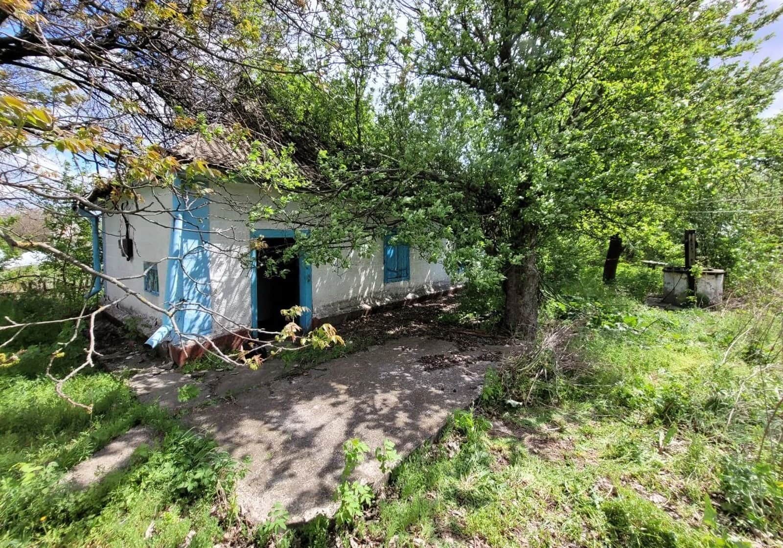 Будинок, Затишне: 62 сотки, ракушняк, газ та електрика - фото 1
