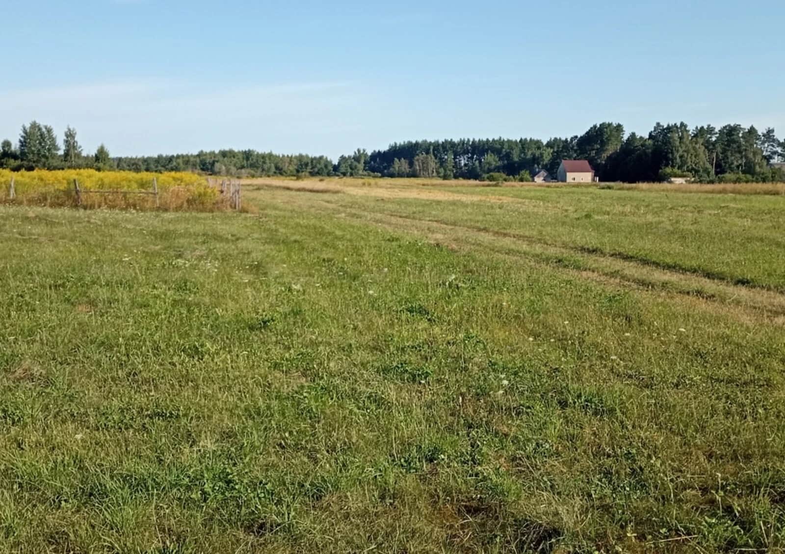 Ділянка 12 соток, Івашківка: під житлову забудову, чорнозем - фото 2