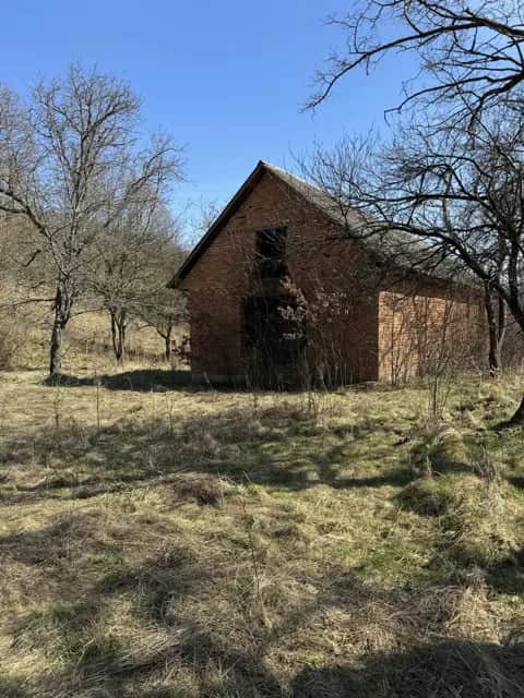 Ділянка 50 соток, Тячів: асфальтована дорога, будинок і туалет - фото 2