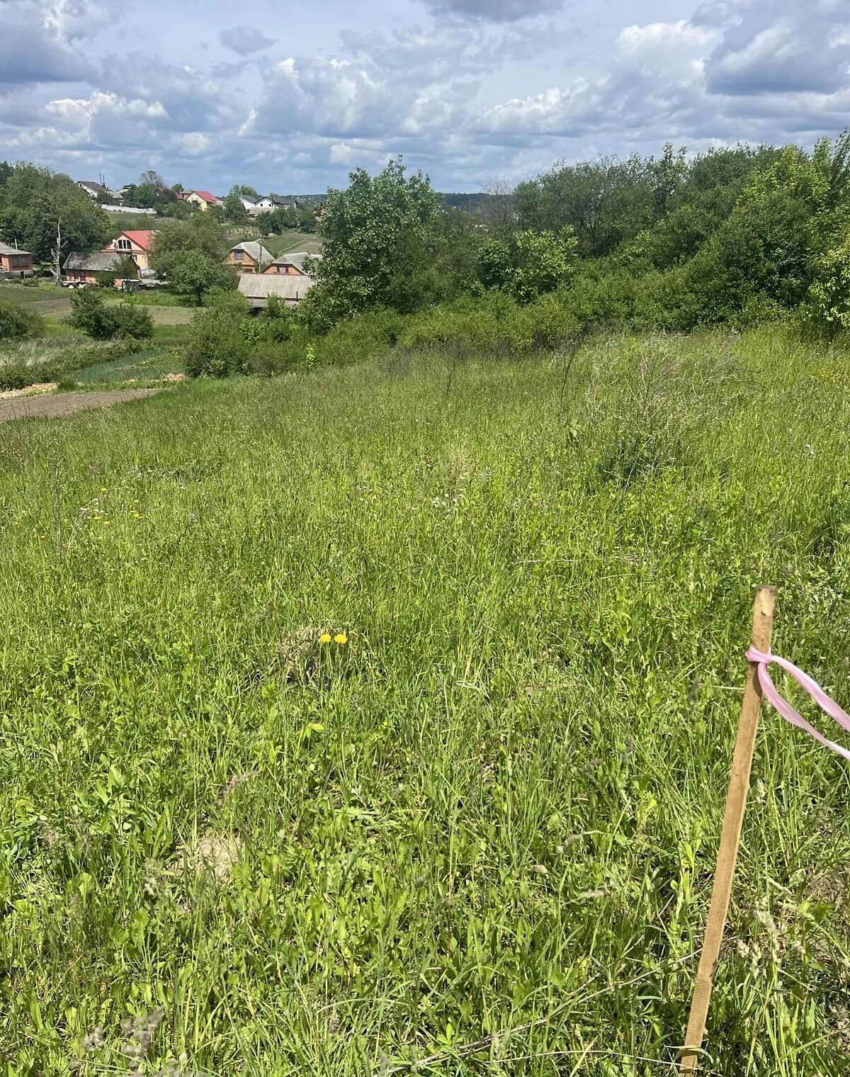 Ділянка 6 соток, Гречани дальні: під житлову забудову, під гараж - фото 2