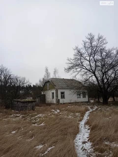 Ділянка 0.5582 га, Сингаї: торг можливий - фото 1
