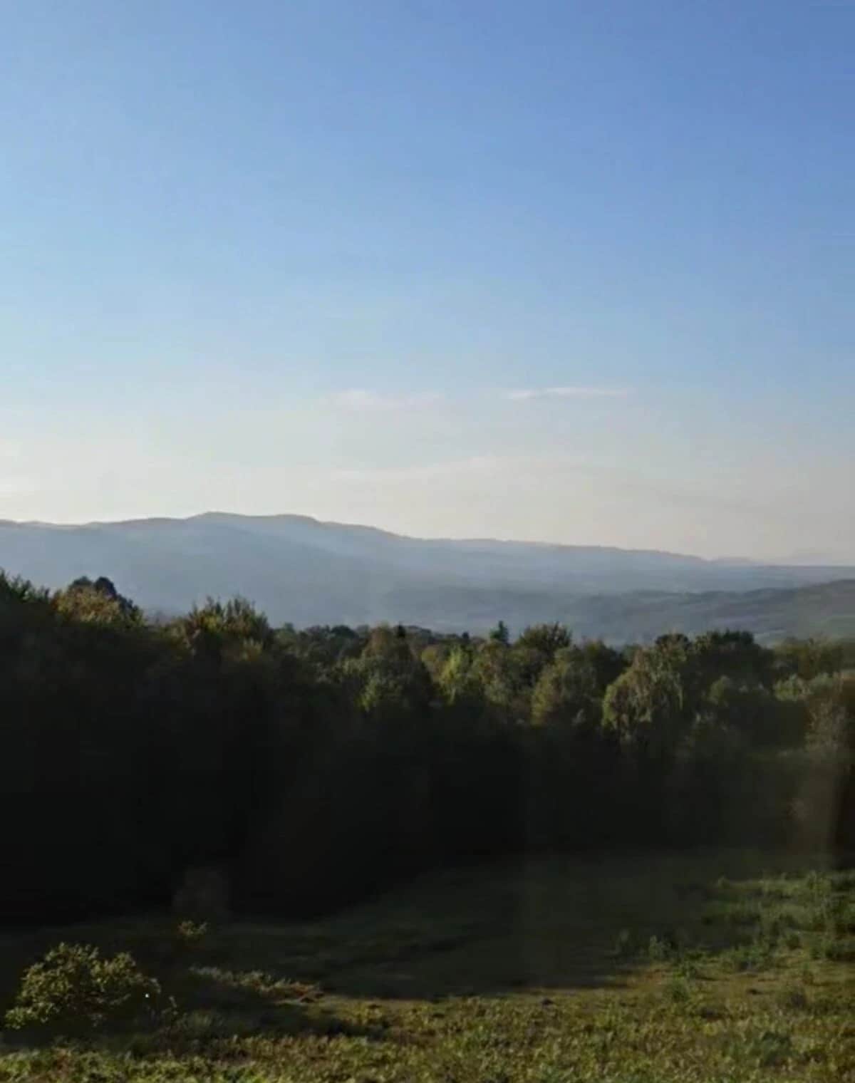 Ділянка 75 соток, Люча: сільськогосподарське призначення, сад - фото 2