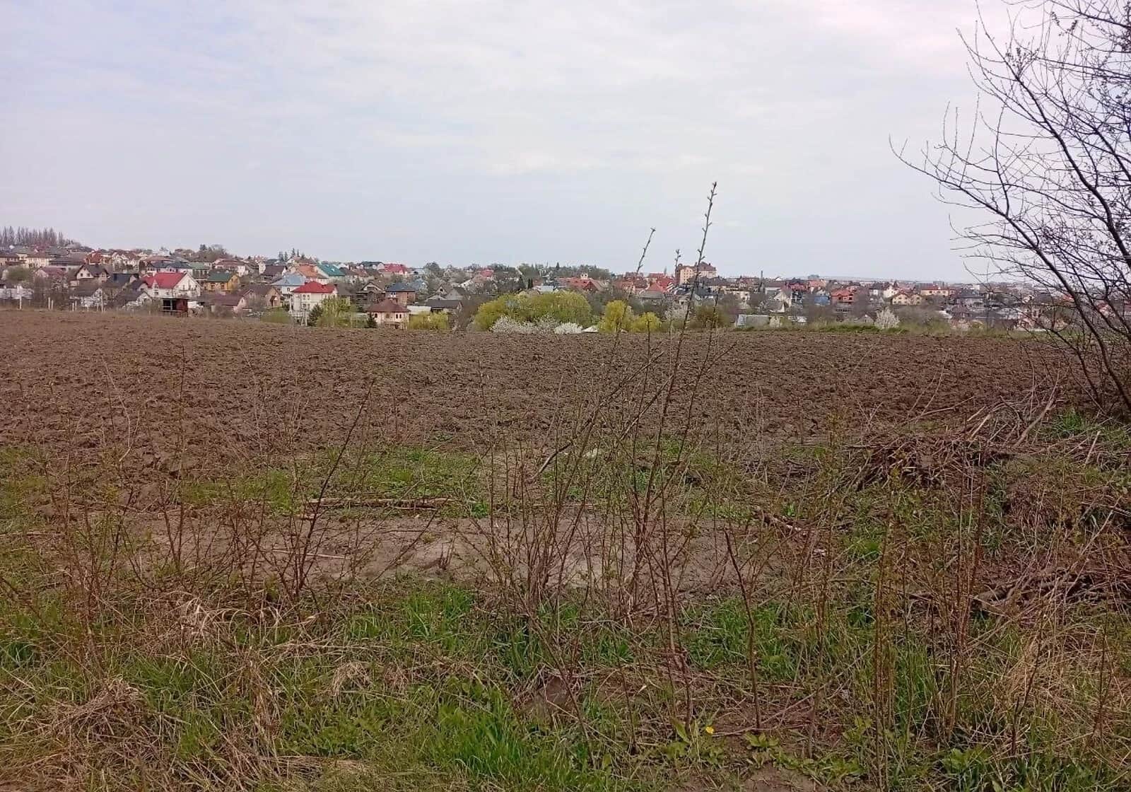 Ділянка 19.37 соток, Великий Кучурів: чорнозем, електрика - фото 2