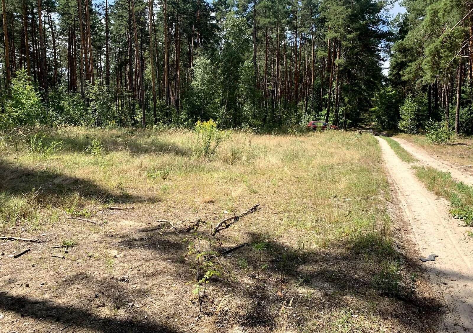 Ділянка 10 соток, Деснянський: під житлову забудову, під гараж - фото 1
