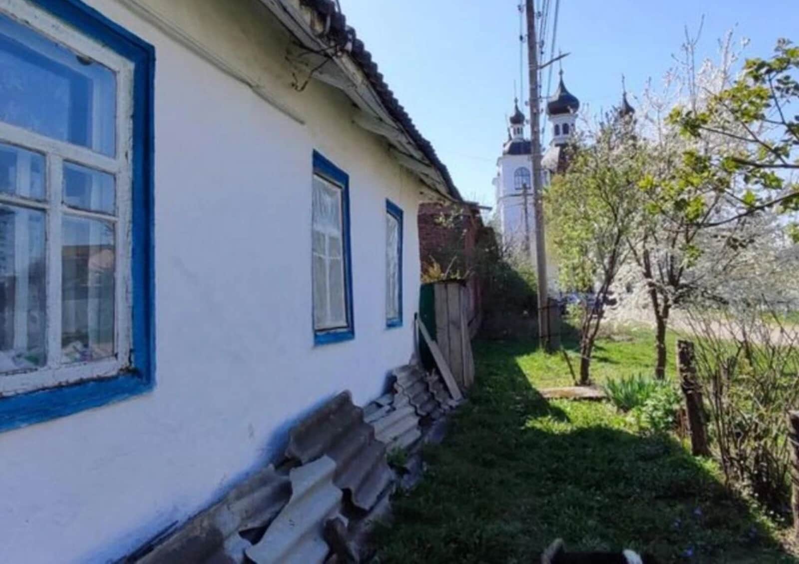 Будинок, Козелець: газове й пічне опалення, 3 сотки - фото 2